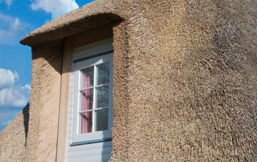 Shore Bottom thatch roof disadvantages
